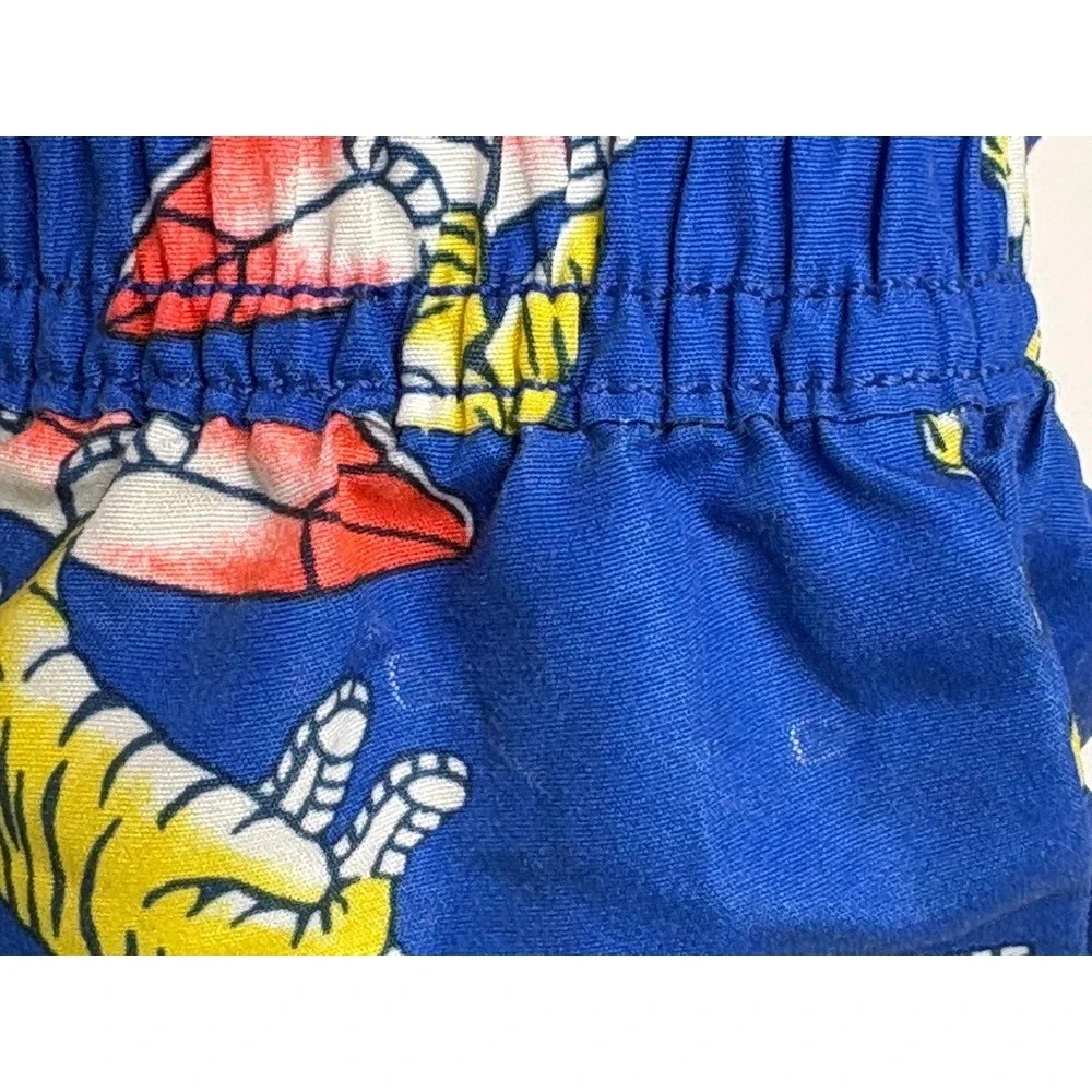 Oshkosh B'gosh Tigers Surfing Swim Trunks & Rashguard Top 18 Months‎ Blue Beach